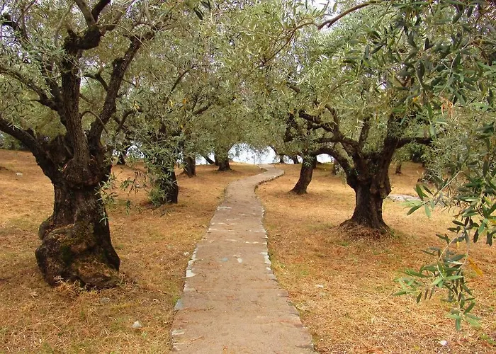 Holiday home Christie's Ground Floor By The Sea *